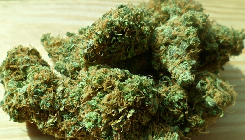 cannabis effect